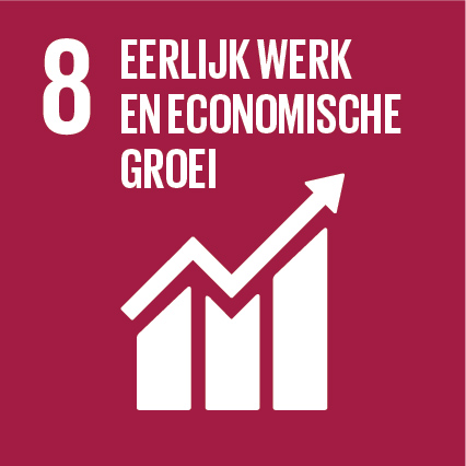 SDG-icon-NL-RGB-08